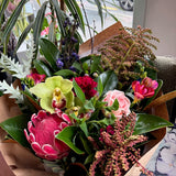 flowers wellington florist Newtown hospital delivery