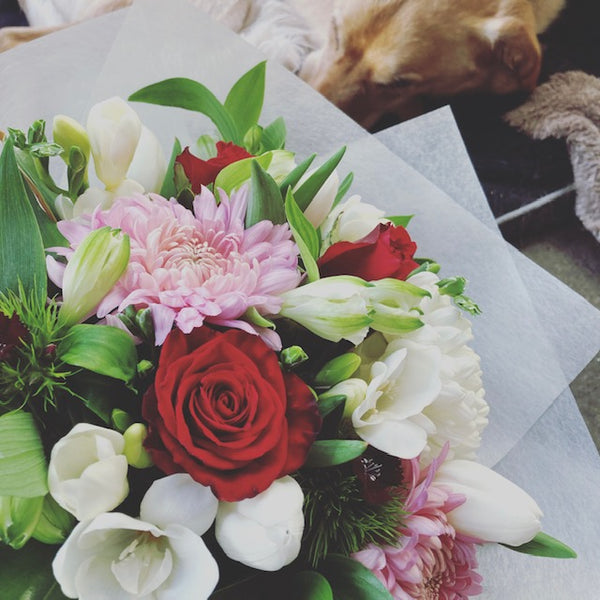 Flowers in a Bag Flowers delivered same day Wellingtonwide Juliette Florist