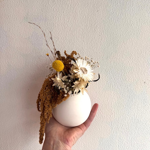 'Bobby' - Dried flowers in Vase