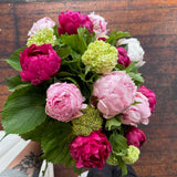 peonies peony delivery fresh flowers florist wellington karori khandallah te aro cbd
