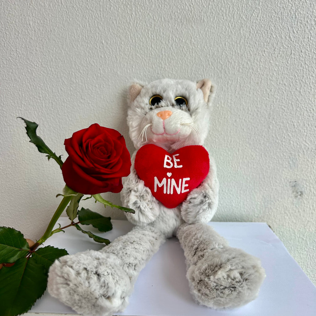 valentines day soft toy red rose wellington lower hutt porirua delivery ngaio johnsonville newlands petone karori
brooklyn florist willis st juliette