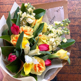 spring tulip flowers wellington delivery same day karori kelburn brooklyn seatoun