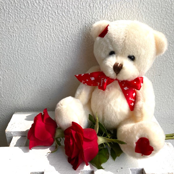 teddy bear valentines wellington florist