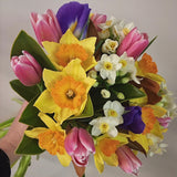 spring flowers posy bouquet same day delivery wellington